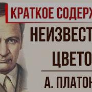 Неизвестный Цветок Краткое Содержание А Платонов 6 Класс