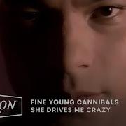 Fine Young Cannibals She Drives Me Crazy 12 1988