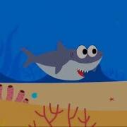 Акулёнок Я Туруру 1 Час Shark Tururu 1 Hours