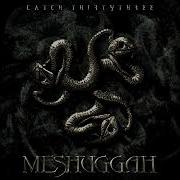 Meshuggah Альбомы