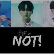 Stray Kids Noy