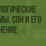 Биологические Ритмы Сон И Его Значение Видеоурок По Биологии 8 Класс