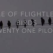 Twenty One Pilots Isle Of Flightless Birds