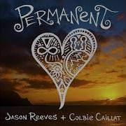 Permanent Feat Colbie Caillat