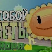 За Тобой Цветы Час