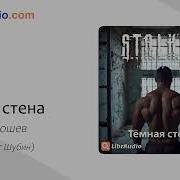 Аудиокнига Тёмная Стена