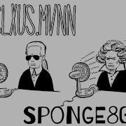 Sponge808