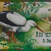 Кто Чем Поёт