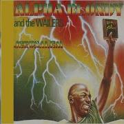 Alpha Blondy Album