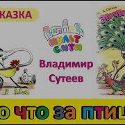 Сказки Сутеева Это Что За Птица Аудиосказка В Картинках