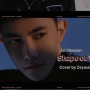 Leezeyoudy Shape Of You