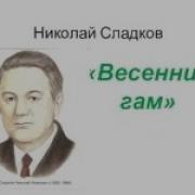 Весенний Разговор Сладков Читать