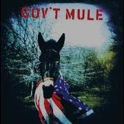 Gov T Mule Full Album