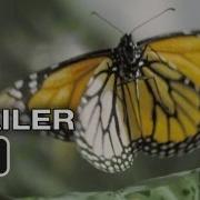 Monarch Butterflies Trailer