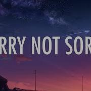 Sorry Not Sorry Lyrics