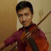 Everyday I Love You Cover Violin