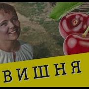 Вишня Дикая Платье Белое Вишня Дикая Скороспелая