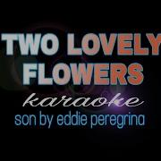 Eddie Peregrina Two Lovely Flowers Karaoke