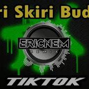 Skiri Version Battle Mix