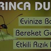 Bereket Duasi Karinca Duasi