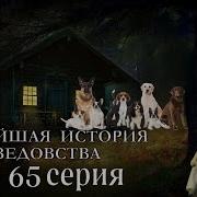 Новейшая История Ведовства 65 Серия