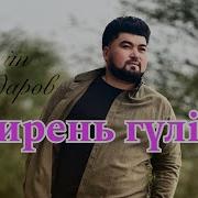 Сирен Гул