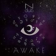 Awake Original Mix Ndub