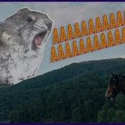 Big Enough Screaming Mouse Meme