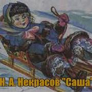 Некрасов Саша