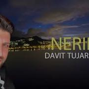 Davit Tujaryan Nerir