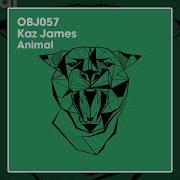 Animal Kaz James