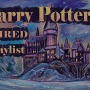 Harry Potter Royalty Free