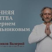 Валерий Синельников Медитации