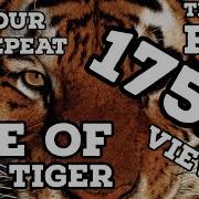 Eye Of The Tiger 1 Hour Repeat