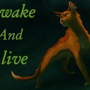 Коты Воители Огнезвëзд Awake And Alive