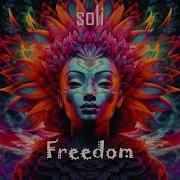 Soli Freedom Psytech