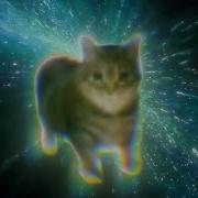 Cat Remix