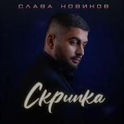 Скрипка Слава Новиков