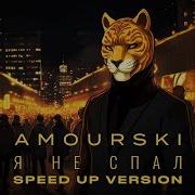 Amourski Я Не Спал Speed Up