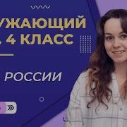 Леса России 4 Класс