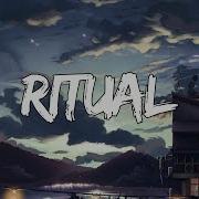 Ritual Alan Walker