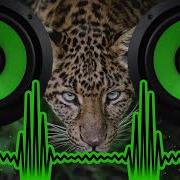 Mega Bass Boosted Songs