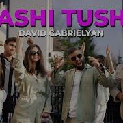 David Gabrielyan Tashi Tushi