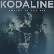 Honest Acoustic Kodaline