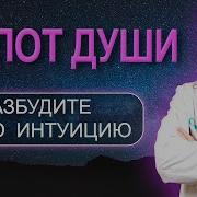 Интуиция И Сон