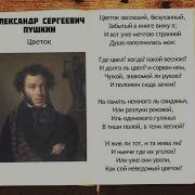 Александр Пушкин Цветок Аудио Стихи