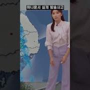 사과티비 똥