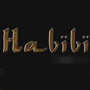 Maitre Gims Habibi Remix