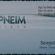 Depneim Seagull Album Version