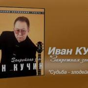 Розы Белые Цветут Красные Завяли Кучин